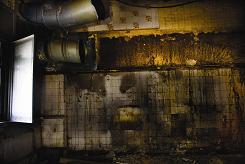 Egyptian Halls- Mark Seager