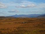 Rannoch Moor